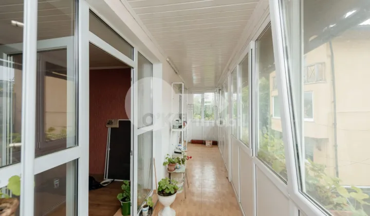 Spațiu comercial, Botanica, DACIA