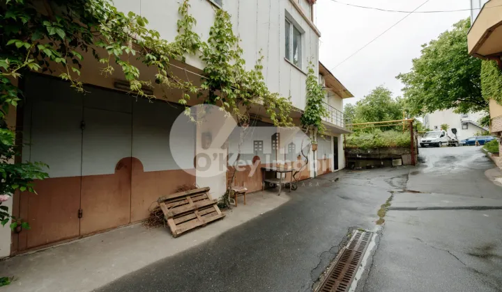 Spațiu comercial, Botanica, DACIA