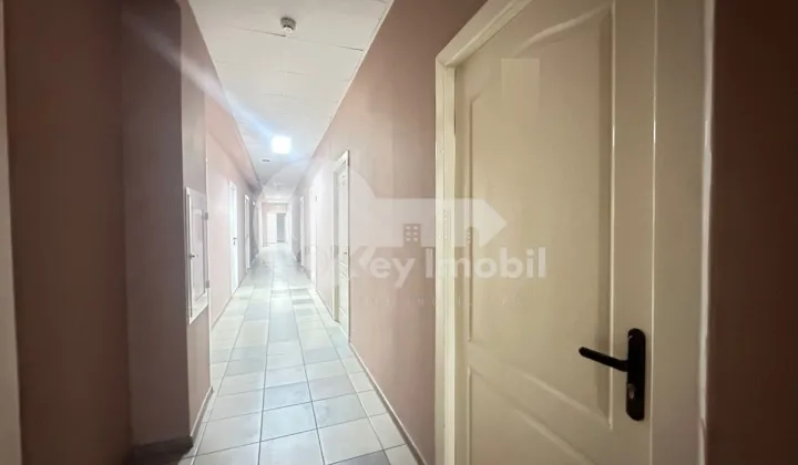 Oficiu, Botanica, DECEBAL