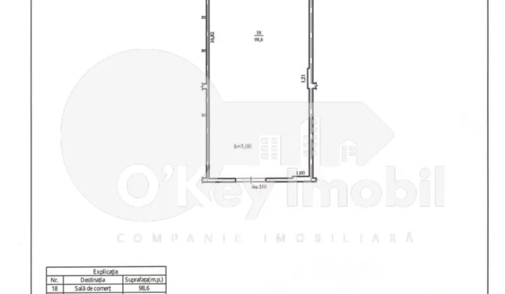 Spațiu comercial, Buiucani, IOANA RADU