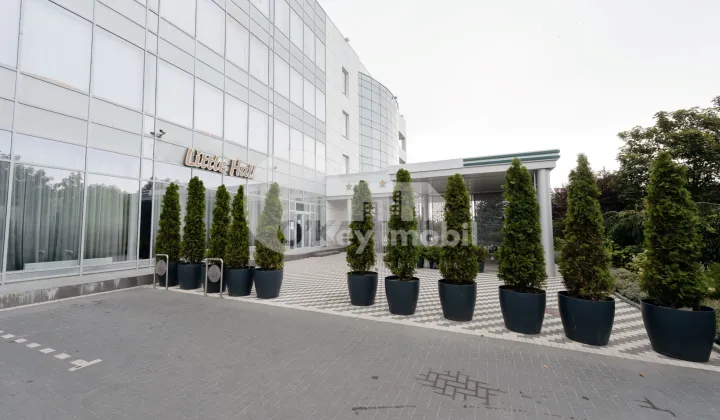 Spațiu comercial, Telecentru, SPICULUI