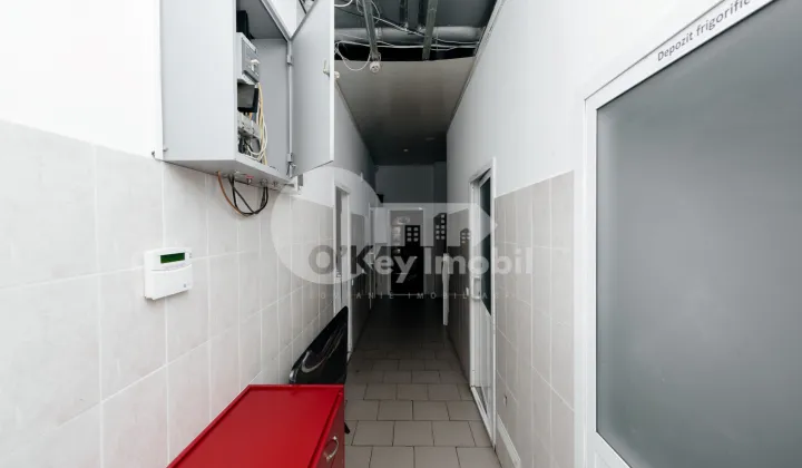 Spațiu comercial, Telecentru, SPICULUI