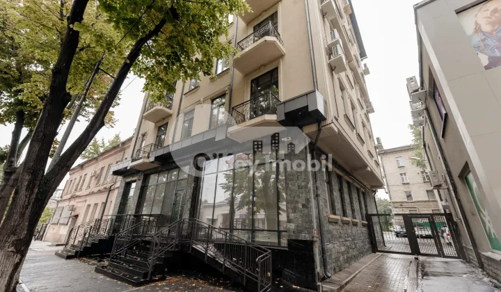 Spațiu comercial, Centru, MIHAI EMINESCU