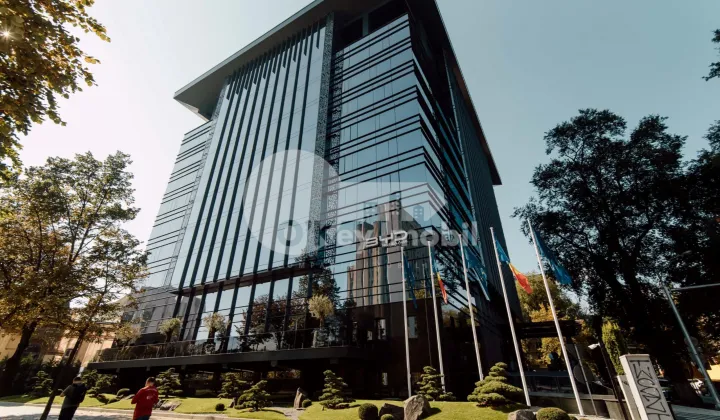 Oficiu, Centru, ȘTEFAN CEL MARE