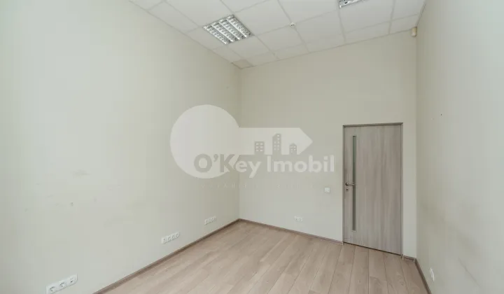 Oficiu, Botanica, NIKOLAI ZELINSKI