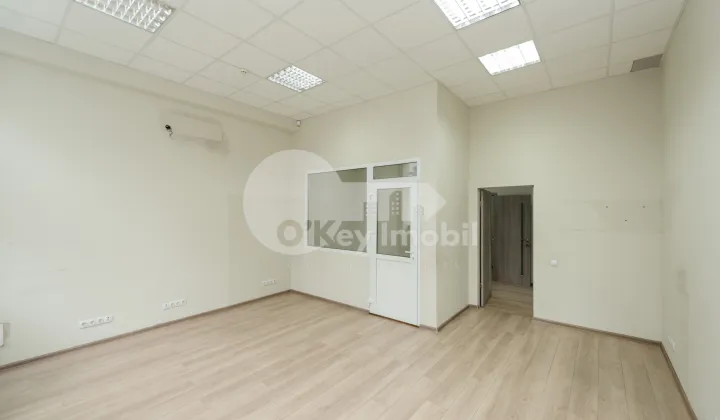 Oficiu, Botanica, NIKOLAI ZELINSKI