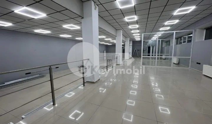 Oficiu, Botanica, CUZA VODĂ