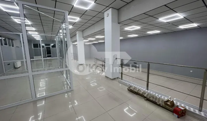 Oficiu, Botanica, CUZA VODĂ