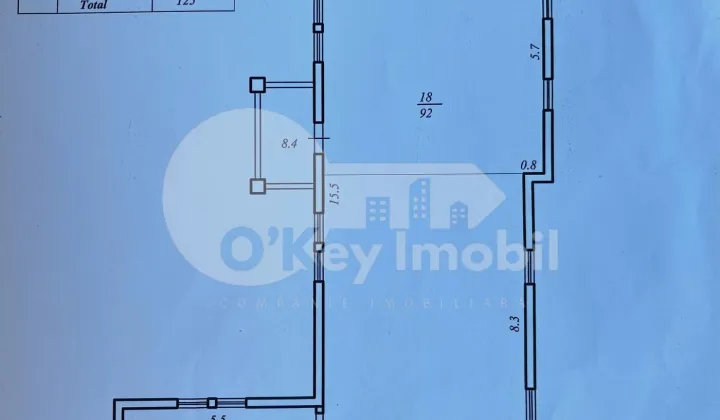 Oficiu, Centru, PETRU MOVILĂ