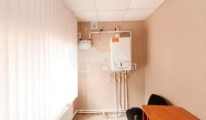 Oficiu, Centru, PETRU MOVILĂ