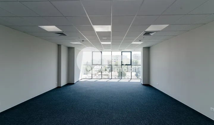 Oficiu, Centru, ȘTEFAN CEL MARE