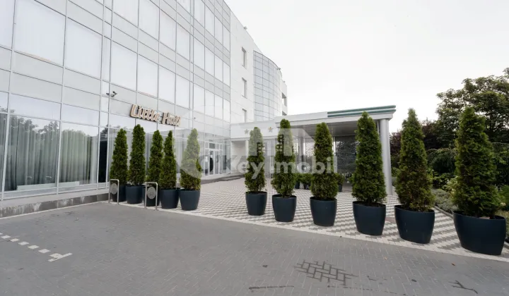 Spațiu comercial, Telecentru, SPICULUI