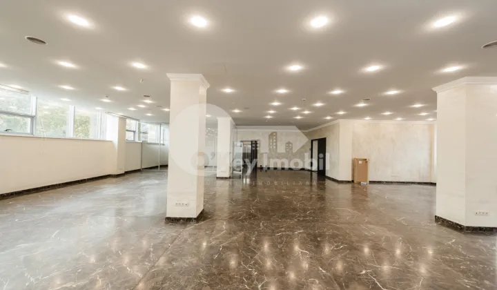 Oficiu, Centru, DIMITRIE CANTEMIR