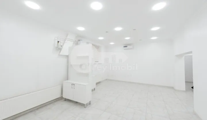 Spațiu comercial, Botanica, NIKOLAI ZELINSKI