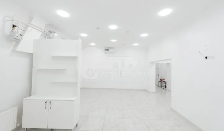 Spațiu comercial, Botanica, NIKOLAI ZELINSKI