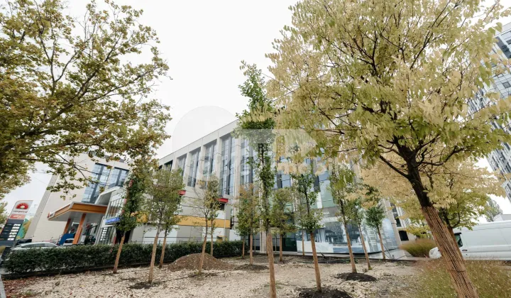 Oficiu, Buiucani, CALEA IEȘILOR