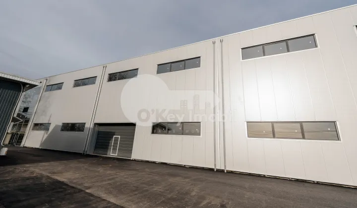 Depozit, Ciocana, UZINELOR