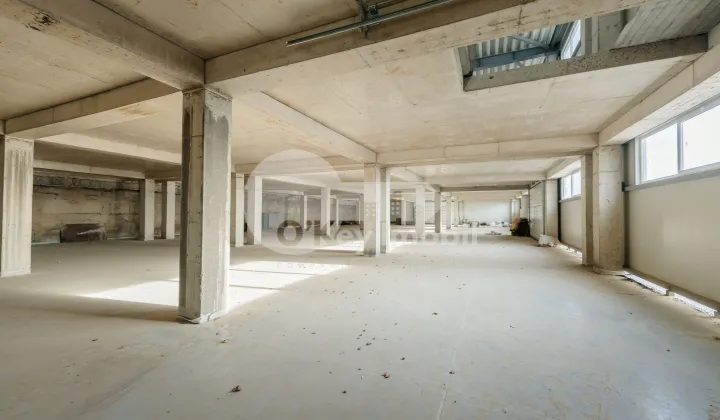 Depozit, Ciocana, UZINELOR