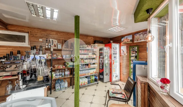 Spațiu comercial, Râșcani, ALBIȘOARA