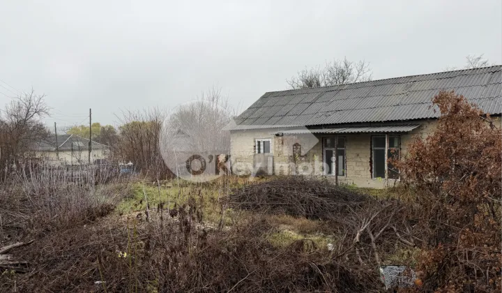 Spațiu comercial, STRĂȘENI