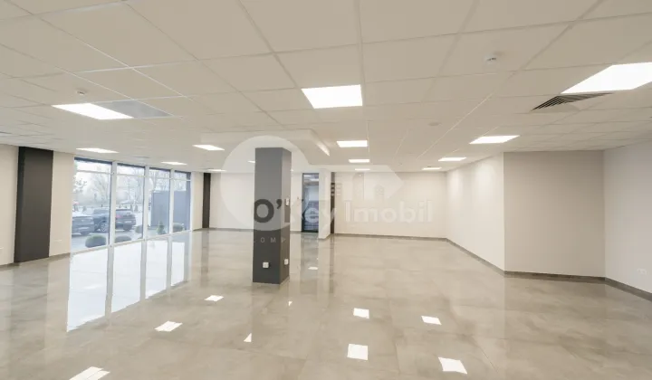 Spațiu comercial, Botanica, DACIA