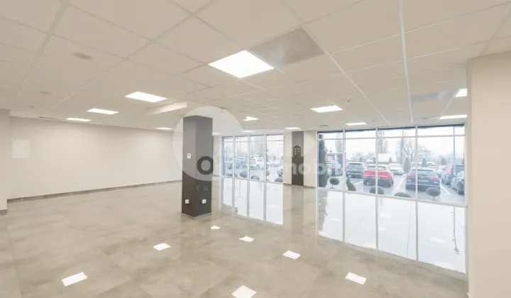 Spațiu comercial, Botanica, DACIA