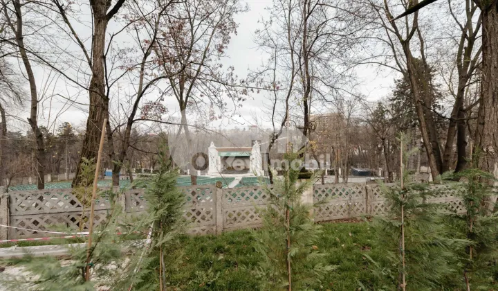 Townhouse, Centru, TIMIȘ