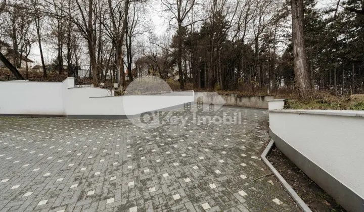 Townhouse, Centru, TIMIȘ