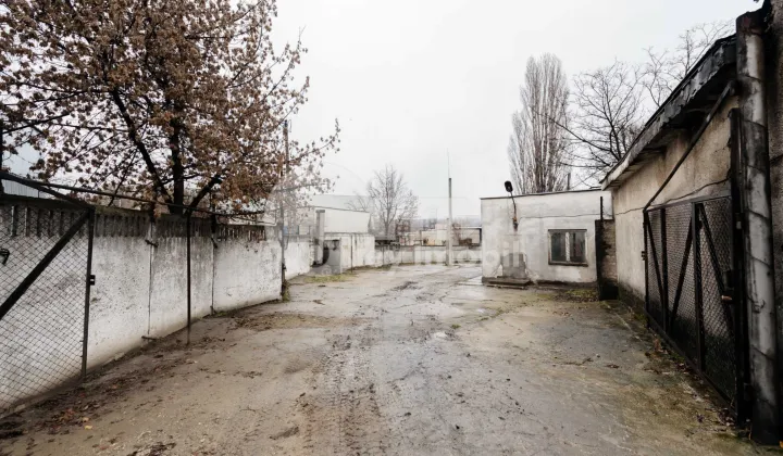 Oficiu, Buiucani, BUCURIEI