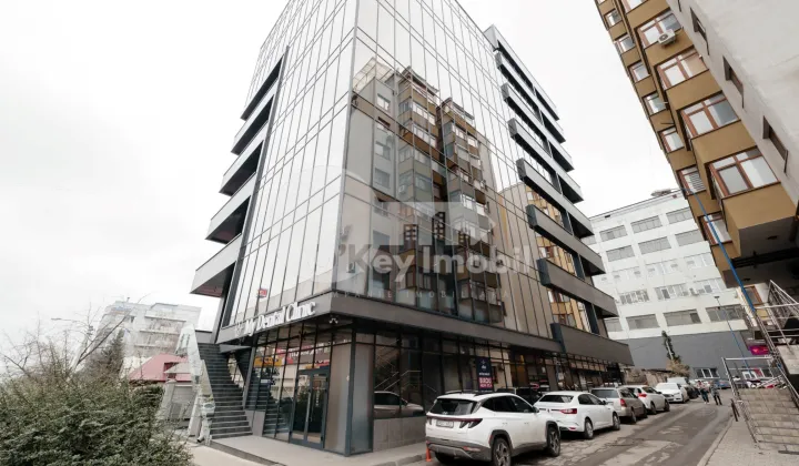 Oficiu, Botanica, CONSTANTIN BRÂNCUȘI