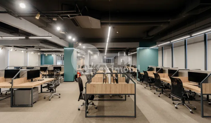 Oficiu, Botanica, CONSTANTIN BRÂNCUȘI