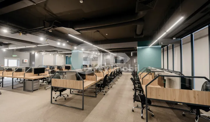 Oficiu, Botanica, CONSTANTIN BRÂNCUȘI