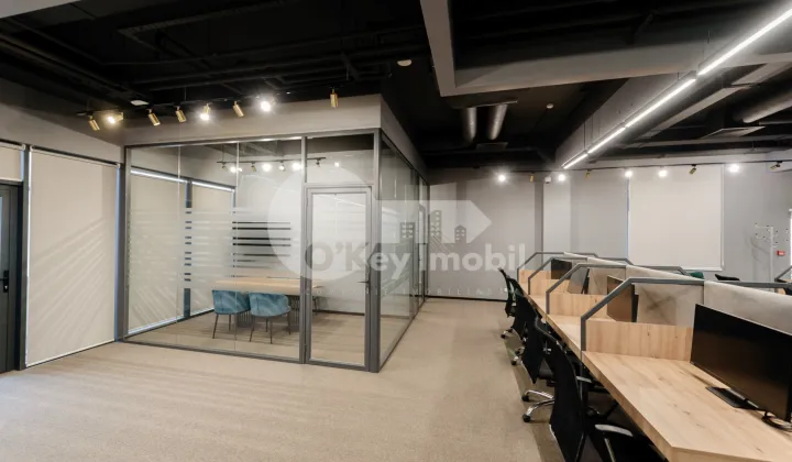 Oficiu, Botanica, CONSTANTIN BRÂNCUȘI