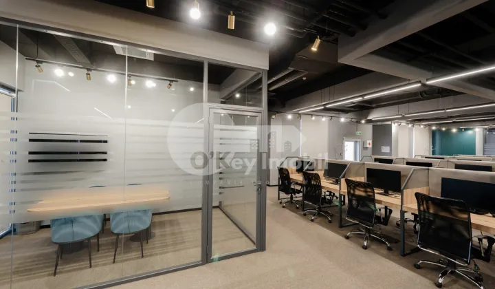 Oficiu, Botanica, CONSTANTIN BRÂNCUȘI