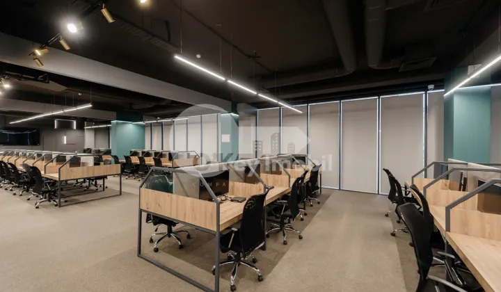 Oficiu, Botanica, CONSTANTIN BRÂNCUȘI