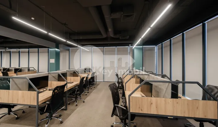 Oficiu, Botanica, CONSTANTIN BRÂNCUȘI