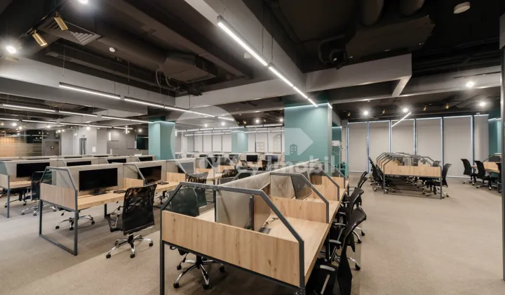 Oficiu, Botanica, CONSTANTIN BRÂNCUȘI