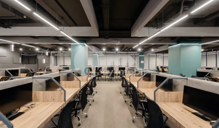 Oficiu, Botanica, CONSTANTIN BRÂNCUȘI