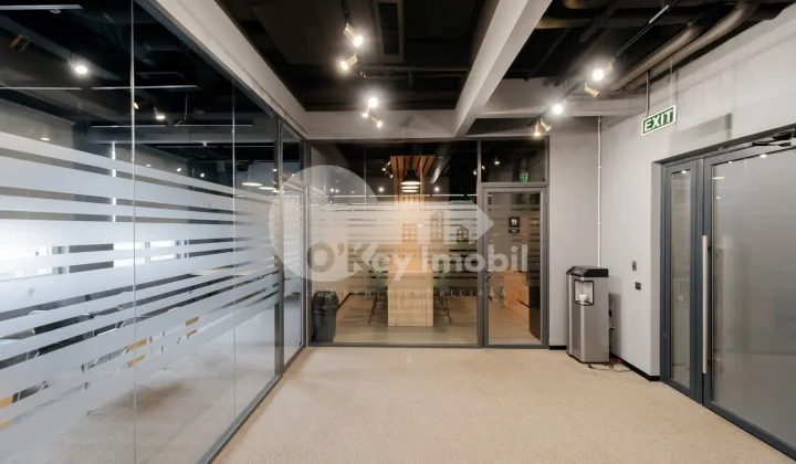 Oficiu, Botanica, CONSTANTIN BRÂNCUȘI