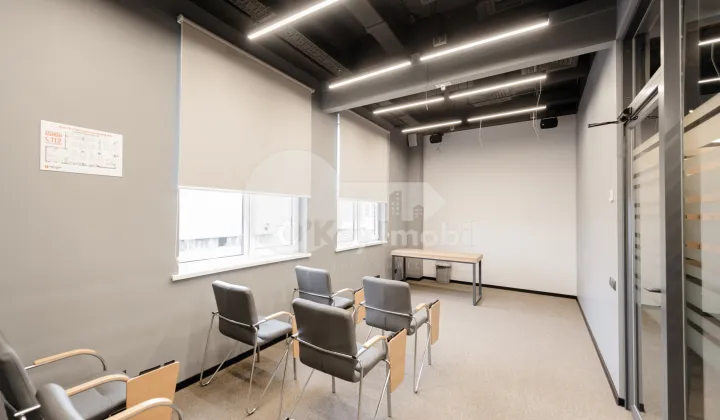 Oficiu, Botanica, CONSTANTIN BRÂNCUȘI