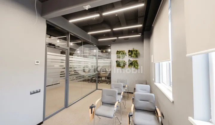 Oficiu, Botanica, CONSTANTIN BRÂNCUȘI