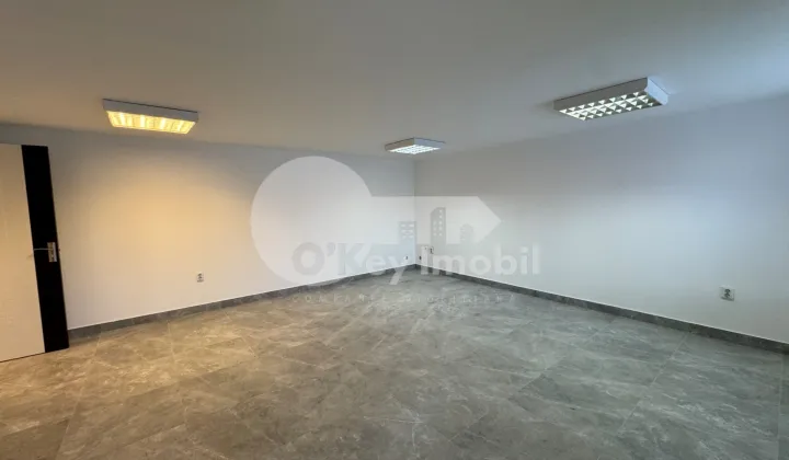 Spațiu comercial, Botanica, DACIA