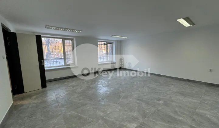 Spațiu comercial, Botanica, DACIA