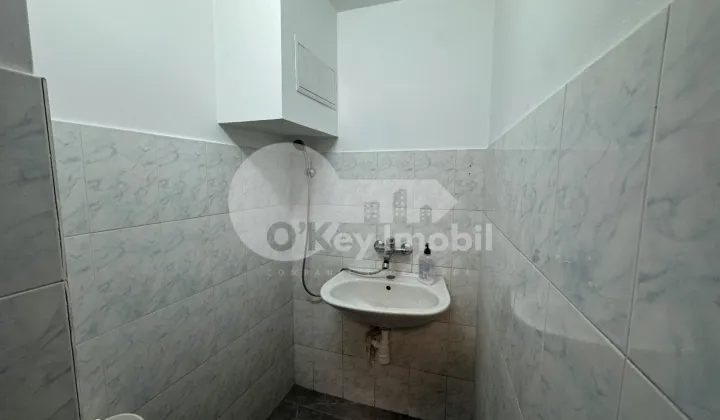 Spațiu comercial, Botanica, DACIA