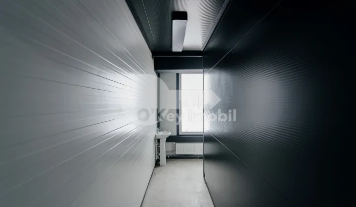 Spațiu comercial, Botanica, DACIA