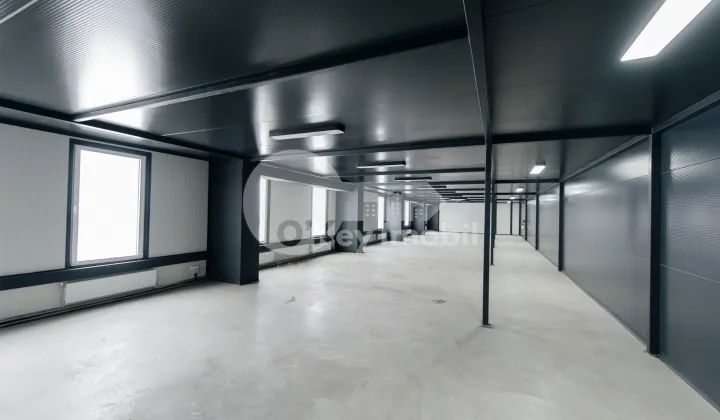 Spațiu comercial, Botanica, DACIA