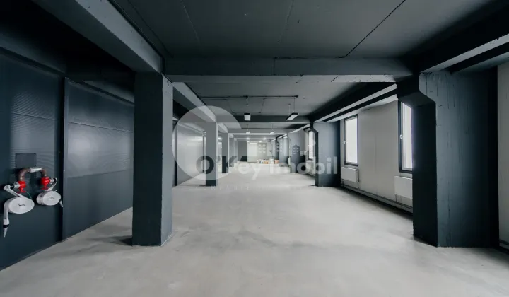 Spațiu comercial, Botanica, DACIA