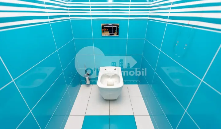 Oficiu, Centru, MIHAI VITEAZUL