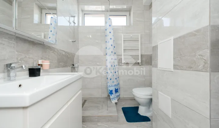 Apartament, Telecentru, STR-LA MICIURIN