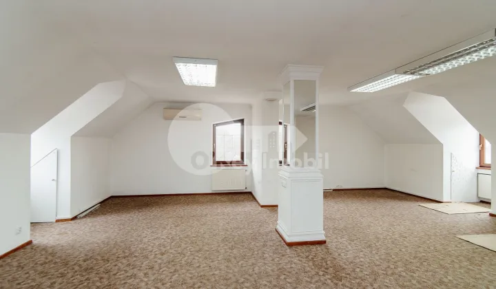 Oficiu, Centru, NICOLAE IORGA